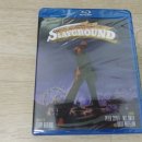 슬레이그라운드 이미지