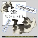 서인천성모의원 이미지