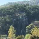 (주)코스와이어서울사무소 | [국내여행] 전북 정읍 가볼만한곳｜정읍구절초꽃축제 2025 당일치기 여행 후기
