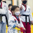 국가대표 최강 태권도장 이미지