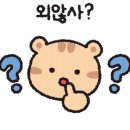 카페슈스