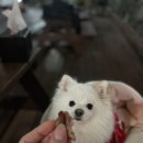 베르데펜션 네이버블로그