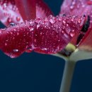 행복한IPARK공인중개사사무소 이미지