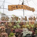 기쁨이네다육농원
