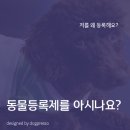 Dr.윤24시동물병원 | 동물등록제란? - 은평구 동물등록대행 정보