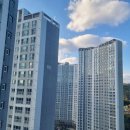 세븐일레븐 울산장검 푸르지오 | 울산강동싱크대막힘 : 싱크대 역류현상 빠르게 해결했어요 [시원하수구설비]
