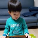 짱아PC 이미지