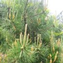 대방보건진료소 이미지