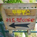 리드펫 | 파주 애견카페/운동장 리드펫에서 여유로운 주말