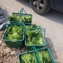 청정농장 이미지