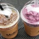 Mollo(몰로)