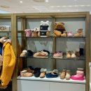 롯데부산UGG 이미지