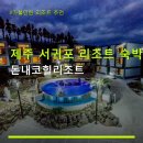 돔베리조트 | 제주 서귀포 리조트 숙박 돈내코힐리조트 객실별 요금과 주차 편리성 안내