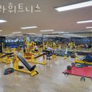 헤라 휘트니스센터 | 서서학동헬스장 전주헬스 PT 피티 헤라휘트니스 가격 위치 소개