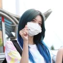 다미 이미지