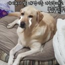 마루세끼 이미지