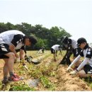공군제16전투비행단 이미지
