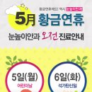 눈높이안과