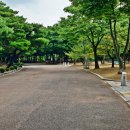 부천중앙공원 이미지