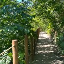 무룡고개 1쉼터 | 장수 장안산 3시간 컷! 무룡고개 주차장부터 코스별 특징까지 직접 가본 꿀팁!