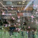 시원부동산공인중개사사무소 이미지