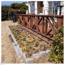 벨몽드 | 전라도 여행 동료들과 대만족한 프리미엄급 프라이빗한 펜션 벨몽드 후기