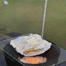 강릉씨클라우드카라반 | [강릉 카라반 추천] 애견동반 가능한 강릉씨클라우드카라반