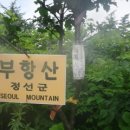 부항산1283.5m강원도 정선군 이미지
