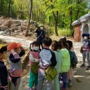 대청 유아숲체험원 이미지