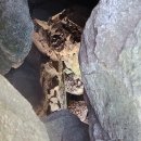 신암1리 이미지