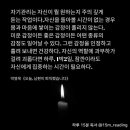 평화라이팅 이미지