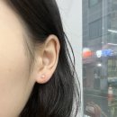 투썸플레이스 광주금호점 이미지