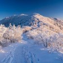 당골목장 이미지