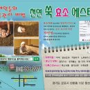 창선할인마트 Daum카페