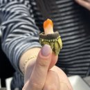 인동26길-2 이미지