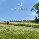 궁전라벤더 | 포천 가볼만한 곳 허브아일랜드 라벤더 핑크모래 애견동반 입장권
