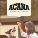 씨제이사료 | 홀리스틱 등급 강아지사료 찾는다면? 아카나 프리런 덕 어덜트부터 시니어까지 급여 가능할까