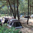 월드니스오토캠핑장 이미지