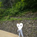 도산서원 주차장 화장실 네이버블로그
