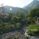 봉덕계곡 이미지