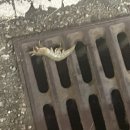 태석목장 이미지