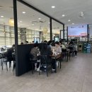 동굴 낙지와 쭈꾸미 이미지