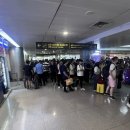 호치민 야시장 | 호치민 패스트트랙 공항 출입국 호치민 야시장 후기