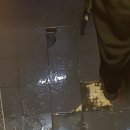 수원-0833 이미지