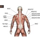 에이치짐투 이미지