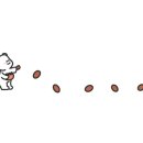 스테이체리 이미지