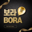 보라(Bora) 이미지