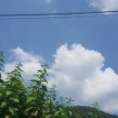 못골장원순두부 이미지