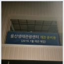 대숲여행 이미지