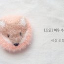 여우세상 - 유성구 | 여우세상